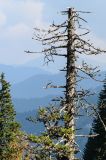 201309220946-AJS_7846.jpg